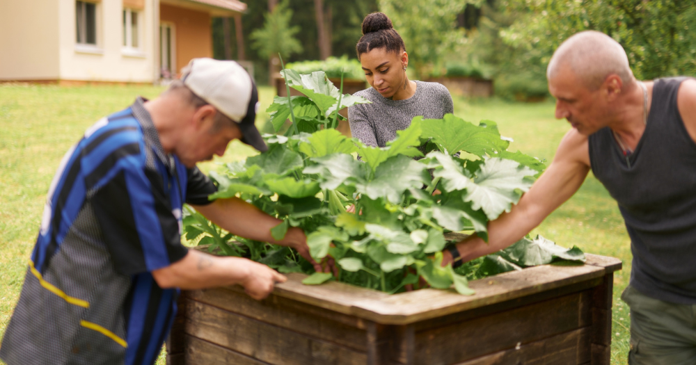 Drei Menschen arbeiten gemeinsam an einem Hochbeet mit großen grünen Pflanzen, das sich in einem Garten mit Rasen und Bäumen befindet.