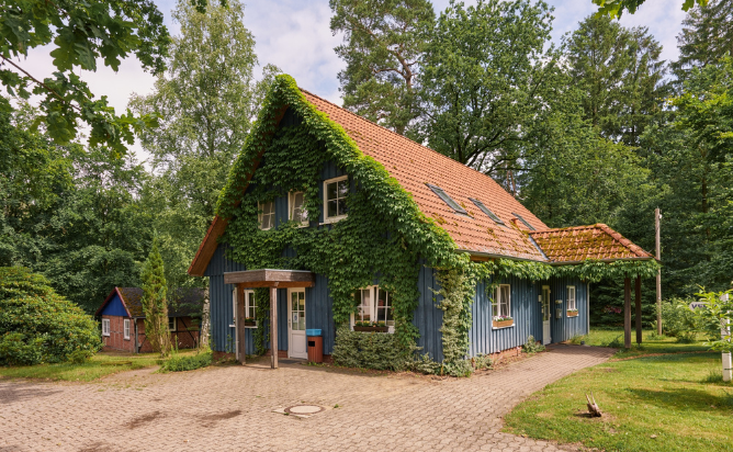 Blaues, von Efeu bewachsenes Haus mit rotem Ziegeldach in einer gr?nen Waldlandschaft. Sehr idyllisch.