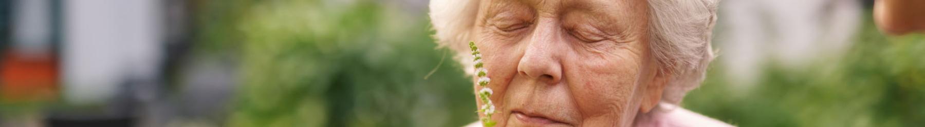 ?ltere Frau mit geschlossenen Augen riecht an einer kleinen, gr?nen Pflanze. Der Hintergrund ist ein unscharfes, gr?nes Gartenmotiv.